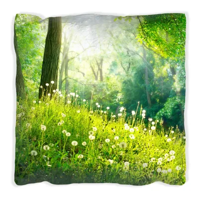 Produktbild von Wallario Premium Kissen, weiche Oberfläche, mit Motiv Pusteblumen im Wald mit einfallenden Sonnenstrahlen, Größe: 60 x 60 cm, mit weißer Rückseite