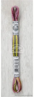 Imagen del producto de DMC Hilo de bordar Mouline Coloris 517 -4509, 6-hilo, 8m