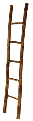 A wooden ladder against a white background.