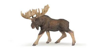 Produktbild von Papo Elch, 3 Jahr(e), Wild animal kingdom, Braun, PVC