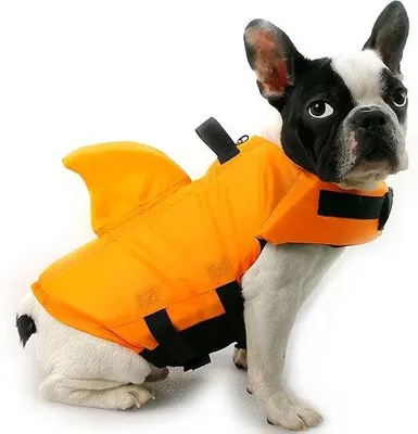 Produktbild von Famanu Schwimmweste für Hunde - Rettungsweste mit Haifischdesign - Orange - Größe S