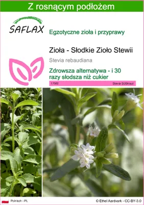Zdjęcie produktu dla SAFLAX - Zioła - Słodkie Zioło Stewii - 100 Nasiona - Z podłożem uprawowym wolnym od zarazków - Stevia rebaudiana