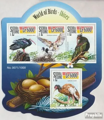 Produktbild von Briefmarken Sierra Leone 2015 Mi 6540-6543 Kleinbogen (kompl. Ausg.) postfrisch Ibisse