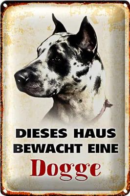 Produktbild von Blechschild Hund 20x30cm dieses Haus bewacht eine Dogge