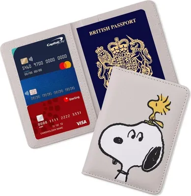 Obrázok produktu pre Peanuts Karty-Etui  Snoopy - Obal na pas multicolor Standard
