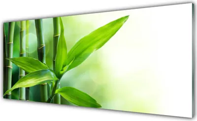 Produktbild von Acrylglasbilder 125x50 Wandbild Druck Bambusrohre Pflanzen