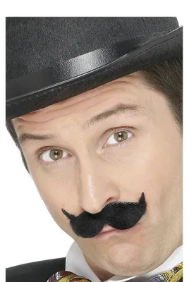 Produktbild von Schwarzer Oberlippenbart Schnäuzer Herrenbart
