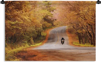 Produktbild von MuchoWow® Wandteppich Wandbehang Motorrad zwischen Herbstbäumen 90x60 cm Tapisserie Dekoration Wandtuch - Wandskulpturen - Bildteppich