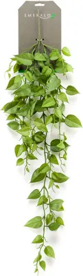 Produktbild von artplants.de Kunst Philodendron Hänger RUESCA auf Steckstab, 90cm - Kunst Philodendron/Künstliche Zimmerpflanze