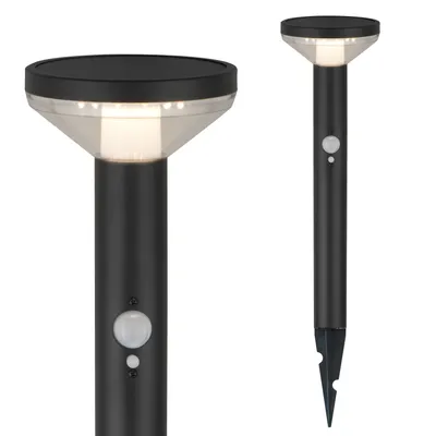 Two black solar garden lights with motion and dusk sensors are shown against a white background. One light is shown close-up, and the other is shown from a distance with its stake.