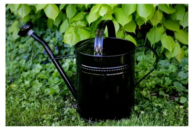 Produktbild von Gießkanne 10 Liter Schwarz Metall Verzinkt