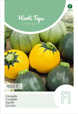 Produktbild von Zucchini Mixed F1 | Zucchinisamen von Hortitops