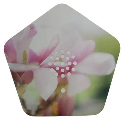Produktbild von Olympia Sound of Nature Box