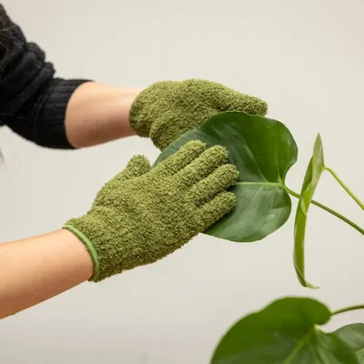 Image de Gants verts anti-poussière pour plantes