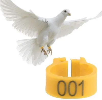 Productafbeelding van Identificatiebandjes van kunststof - Geel - Vogelringen voor spreeuwen en andere vogels - 100 stuks - Geschikt voor spreeuwen en andere vogelsoorten