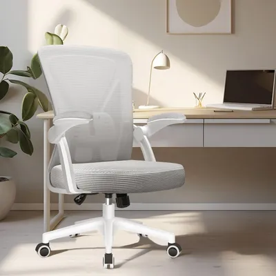 Image de Chaise de bureau ergonomique avec dossier en mesh respirant et support lombaire réglable