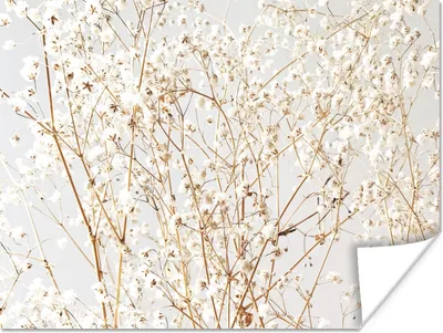 Produktbild von MuchoWow® Poster Natur - Äste - Blumen 160x120 cm - Foto Plakat