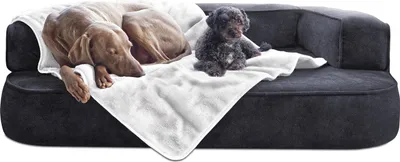 Produktbild von tierlando® Hundedecke LILLY Flauschige Haustier-, Welpen-, Katzen-, Plüschdecke - Größe: 150x100cm | Farbe: 20 Weiß