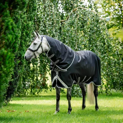 Immagine prodotto di Coperta da paddock Horseware, taglia 145 - Amigo 1200D Plus Turnout, 400g - Colore: nero/grigio titanio/argento