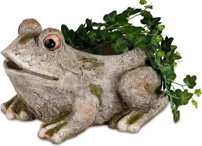 Produktbild von Pflanzgefäß Steinoptik Frosch formano
