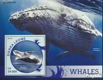 Produktbild von Briefmarken Sierra Leone 2016 Mi Block 905 (kompl. Ausg.) postfrisch Wale