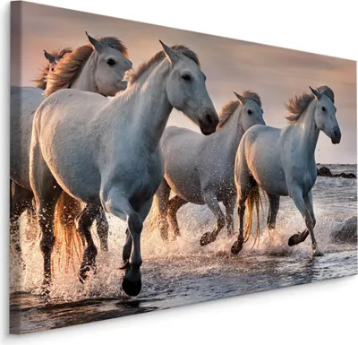 Produktbild von Fabelhafte Canvas LEINWAND BILDER 120x80 cm XXL Kunstdruck Strand Meer Pferde Abend