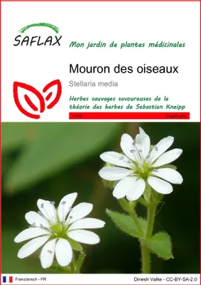 Image de SAFLAX  - Mouron des oiseaux - 1000 graines - Stellaria