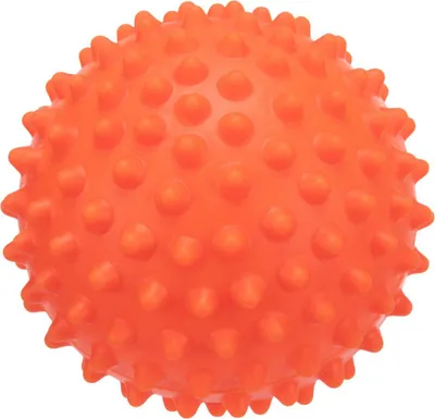 Produktbild von TRIXIE Igelball, geräuschlos, Vinyl, Ø 16 cm