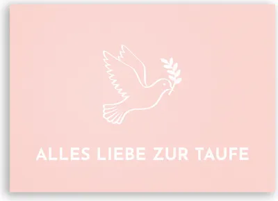 Produktbild von Friendly Fox Karte zur Taufe Taube Taufkarte zur Taufe, heilige Taufe Mädchen, Taube Klappkarte Glückwunschkarte Taufe mit Umschlag