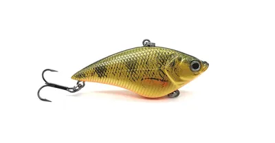 Image de Doiyo Sosa 71 Perche SP