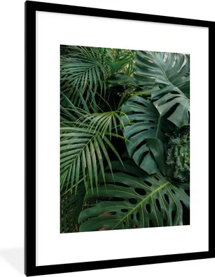 Produktbild von MuchoWow® Gerahmtes Poster Pflanzen - Dschungel - Blätter - Tropisch 60x80 cm - Poster mit Schwarzem Bilderrahmen Wandposter Rahmen Foto Bilder - Wohnzimmer - Dekorationen - Prämie