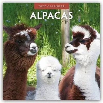 Produktbild von Alpacas - Alpakas 2027 - 16-Monatskalender