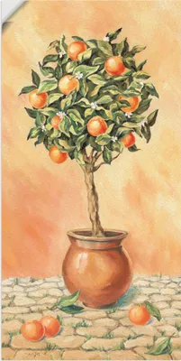 Produktbild von ARTland Wandbild, selbstklebend Orangenbaum I Größe: 20x40 cm