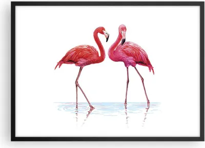 Produktbild von Gerahmtes Poster - Schwarzer Rahmen - Flamingos Rosa Paar - 70x50 cm - Wand Bild - Wanddeko - Wandbilder - Kunstposter - Wandposter - Bilderrahmen - Bilder - Kunstdruck - Wandbild - P2BAA70x50-4243