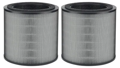 2er-Pack Ersatzfilter FY0910 für Philips AC0950/AC0951
