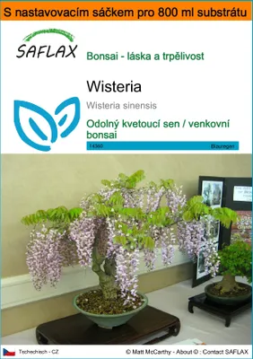 Obrázek produktu pro SAFLAX Garden in the bag - Wisteria - Wisteria sinensis - 4 Semena - S pěstebním substrátem v praktickém samovztyčovacím sáčku