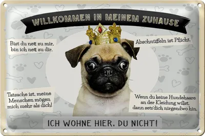 Produktbild von Blechschild Spruch 30x20cm Tiere Mops willkommen wohne hier