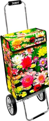 Obrázek produktu pro Nákupní vozík James - LILLY - robustní nákupní vozík s individuálním designem - jednobarevný: zelený v provedení: Chrome19