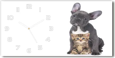 Produktbild von Wanduhr aus Glas – 60x30 cm - Glasbild - Glasuhr - Gehärtetes Glas - weisse-zeiger - Hund und Katze