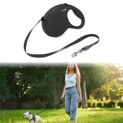 Produktbild von Hundeleine Rollleine Flexileine - 5 m - Mit Griff - Ausziehbar bis 5 m - Für Welpen und kleine Hunde