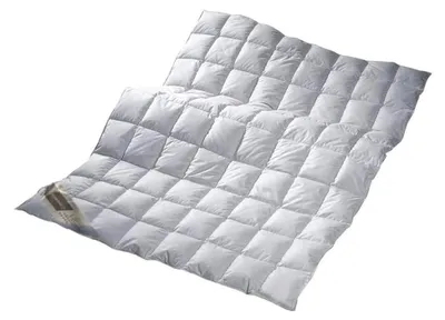 Produktbild von Leichte Sommerdaunendecke 100% Daune mit Traumpass - 200x200 cm