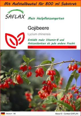 Produktbild von SAFLAX Garden in the bag - Gojibeere - Lycium chinensis - 200 Samen - Mit Anzuchtsubstrat im praktischen, selbst aufstellenden Beutel
