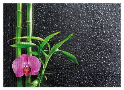 Produktbild von Wallario Duschmatte Antirutschmatte Badmatte Fußmatte Bambus und pinke Orchidee auf schwarzem Glas mit Regentropfen, Größe ca. 70 x 50 cm