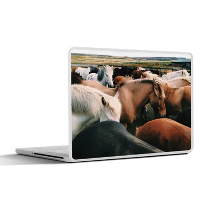 Produktbild von MuchoWow® Laptop Aufkleber Sticker Cover Pferde - Tiere - Spiel 36.5x27.5 cm - Laptop-Sticker