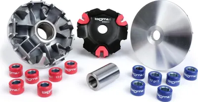 Obrázek produktu pro Variomatik BGM pro Vespa Primavera 125 (ZAPM81100, ZAPM81101, ZAPMA1100, ZAPMA1101, ZAPMD1100), Vespa Sprint 125 (ZAPM81300, ZAPM81301, ZAPMA1300, ZAPMA1301, ZAPMD1101), Piaggio Liberty 125 (RP8M89100, RP8MA4100, RP8MD4100, ZAPMA6100