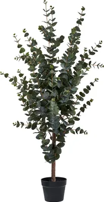 Produktbild von House Collection Kunstpflanze Eukalyptus H120 cm