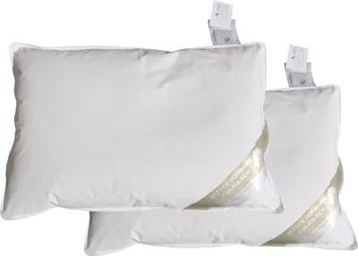 Produktbild von 2 Stück Betten Hofmann Kinder Daunenkissen 40x60 cm medium 100 g ungesteppt