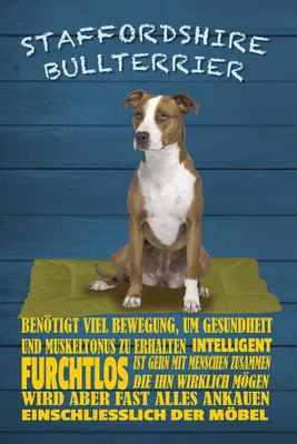 Produktbild von vianmo Holzschild 30x20 cm Staffordshire Bullterrier Hund Tier Haustier