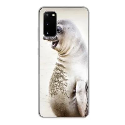 Produktbild von MuchoWow® Handyhülle Schutzhülle Hülle für Samsung Galaxy S20 Seeelefant - Lustig - Lachen - Kinder - Jungen - Mädchen - Kinder Silikon Softcase Handy Hülle - Bild