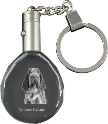 Produktbild von Italienischer Spinone, Spinone Italiano - Anhänger mit einem Foto eines Hundes, Schlüsselanhänger aus Kristall in einer Geschenkbox, ein einzigartiges Geschenk von Art-Dog